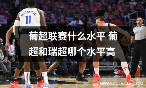 葡超联赛什么水平 葡超和瑞超哪个水平高