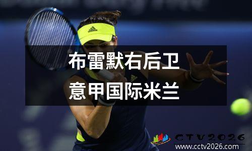 布雷默右后卫 意甲国际米兰