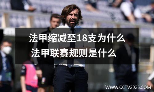 法甲缩减至18支为什么 法甲联赛规则是什么