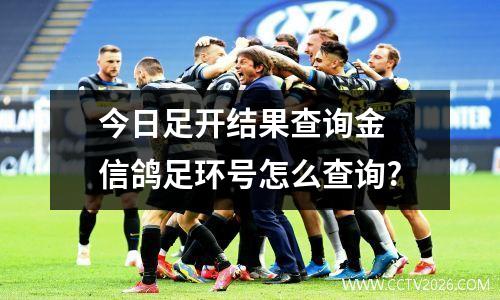 今日足开结果查询金 信鸽足环号怎么查询?