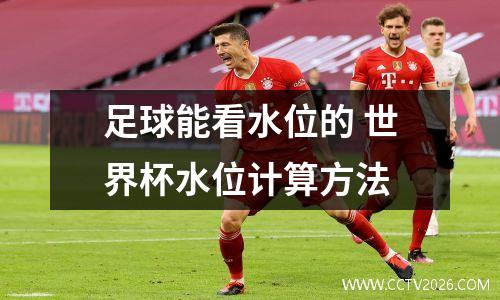 足球能看水位的 世界杯水位计算方法