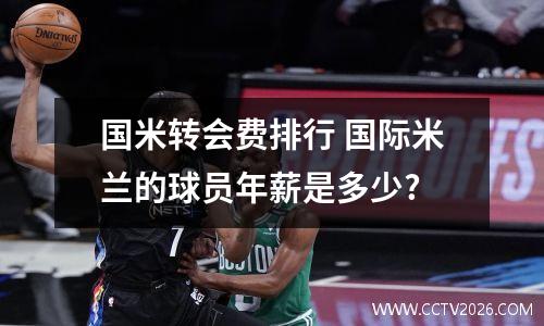 国米转会费排行 国际米兰的球员年薪是多少?