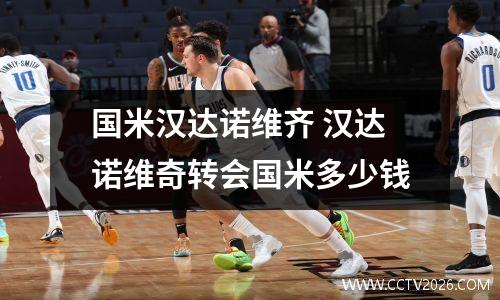 国米汉达诺维齐 汉达诺维奇转会国米多少钱