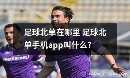 足球北单在哪里 足球北单手机app叫什么?