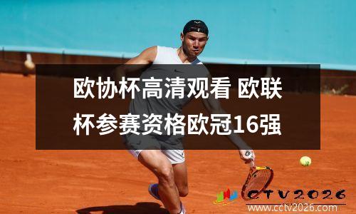 欧协杯高清观看 欧联杯参赛资格欧冠16强