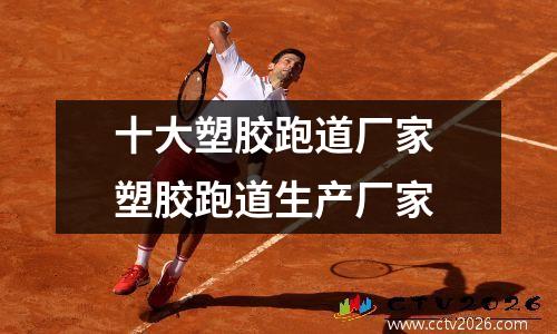 十大塑胶跑道厂家 塑胶跑道生产厂家