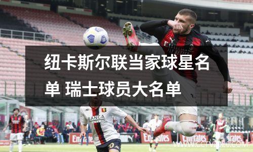 纽卡斯尔联当家球星名单 瑞士球员大名单