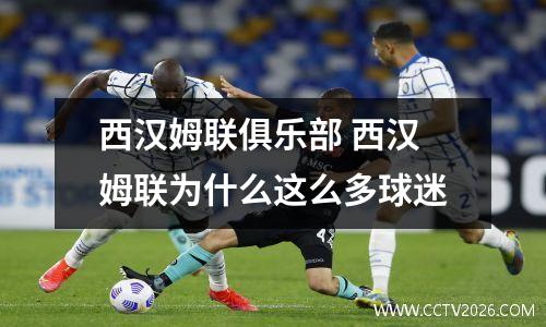 西汉姆联俱乐部 西汉姆联为什么这么多球迷