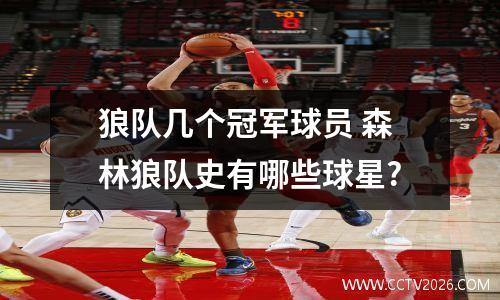狼队几个冠军球员 森林狼队史有哪些球星?