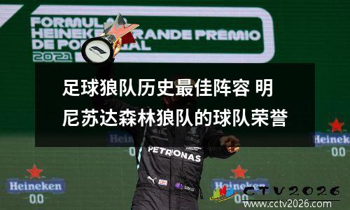足球狼队历史最佳阵容 明尼苏达森林狼队的球队荣誉
