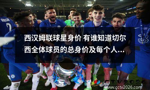 西汉姆联球星身价 有谁知道切尔西全体球员的总身价及每个人的具体费用和工资?