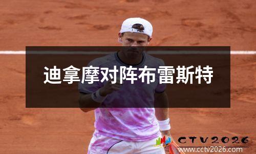 迪拿摩对阵布雷斯特