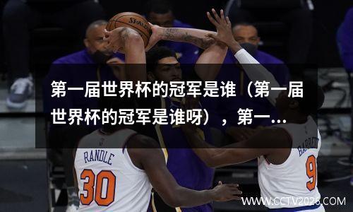 第一届世界杯的冠军是谁（第一届世界杯的冠军是谁呀），第一届世界杯得主