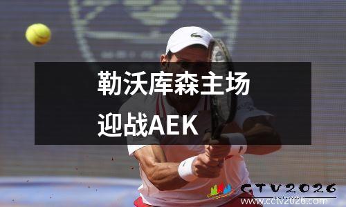 勒沃库森主场迎战AEK