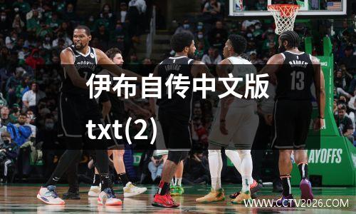 伊布自传中文版txt(2)