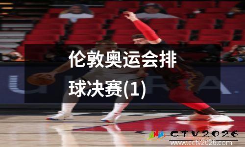伦敦奥运会排球决赛(1)