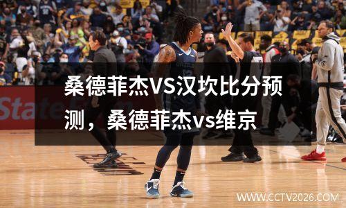 桑德菲杰VS汉坎比分预测，桑德菲杰vs维京
