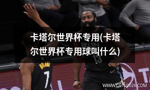 卡塔尔世界杯专用(卡塔尔世界杯专用球叫什么)