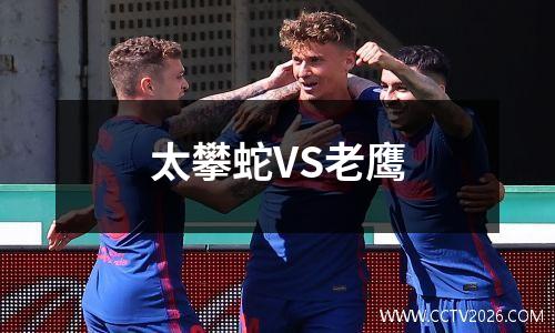 太攀蛇VS老鹰