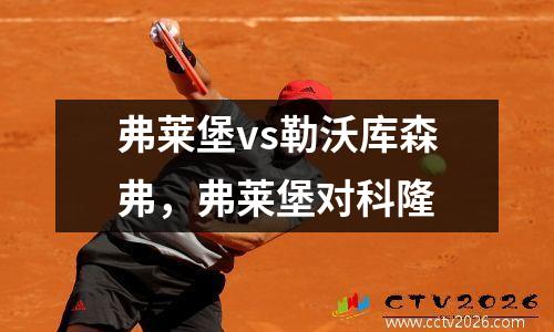 弗莱堡vs勒沃库森弗，弗莱堡对科隆