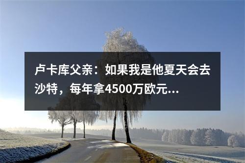 卢卡库父亲：如果我是他夏天会去沙特，每年拿4500万欧元视频
