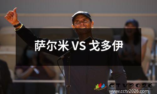 萨尔米 VS 戈多伊