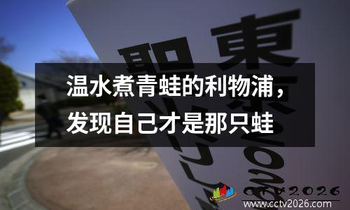 温水煮青蛙的利物浦，发现自己才是那只蛙