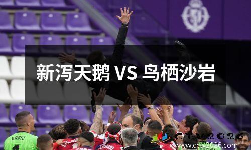 新泻天鹅 VS 鸟栖沙岩