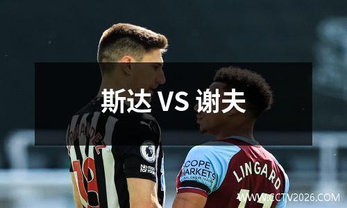斯达 VS 谢夫