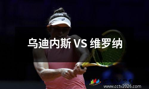 乌迪内斯 VS 维罗纳