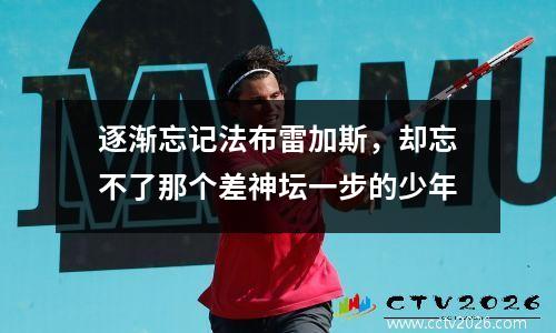逐渐忘记法布雷加斯，却忘不了那个差神坛一步的少年