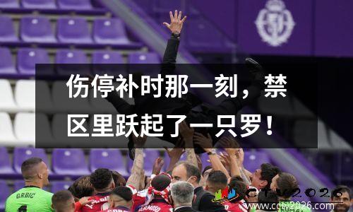 伤停补时那一刻，禁区里跃起了一只罗！
