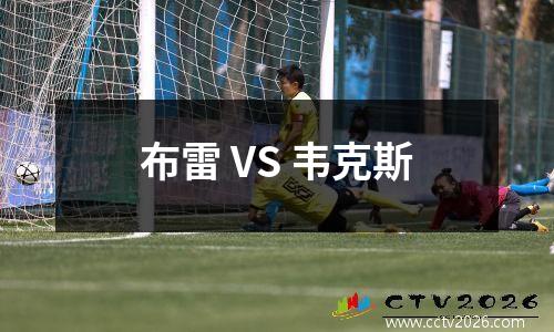 布雷 VS 韦克斯