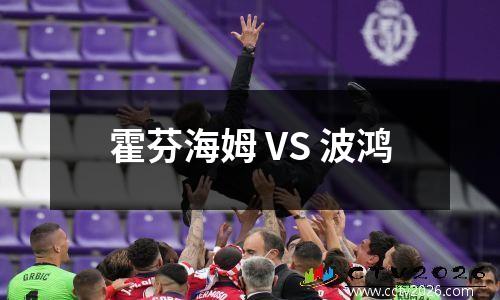 霍芬海姆 VS 波鸿