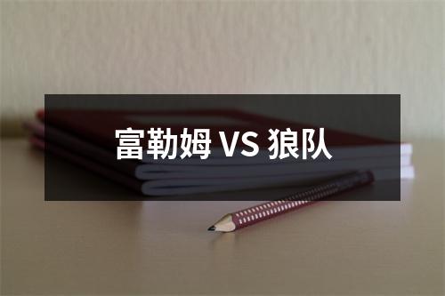 富勒姆 VS 狼队