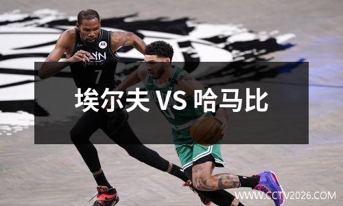 埃尔夫 VS 哈马比