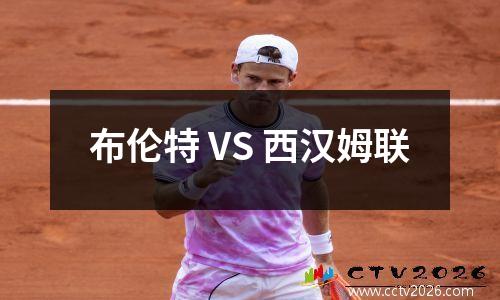 布伦特 VS 西汉姆联