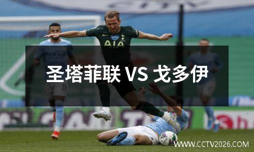 圣塔菲联 VS 戈多伊