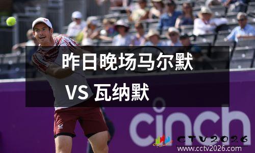 昨日晚场马尔默 VS 瓦纳默