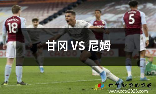 甘冈 VS 尼姆