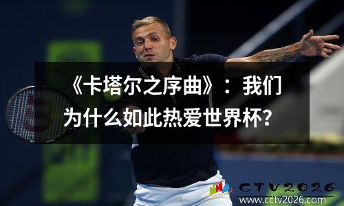 《卡塔尔之序曲》：我们为什么如此热爱世界杯？