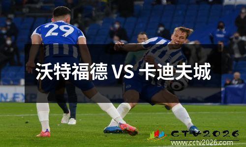 沃特福德 VS 卡迪夫城