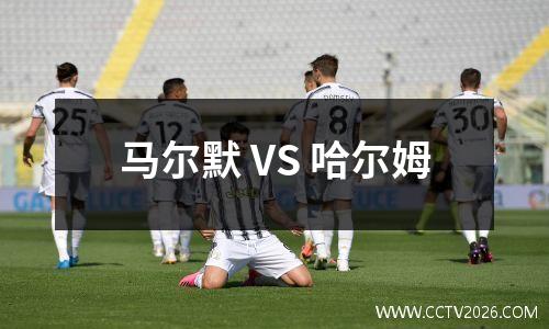 马尔默 VS 哈尔姆