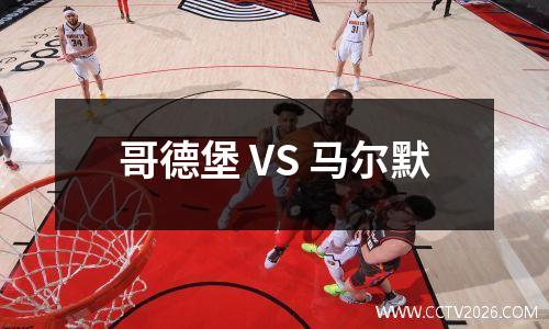 哥德堡 VS 马尔默