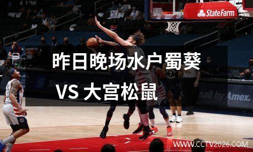 昨日晚场水户蜀葵 VS 大宫松鼠