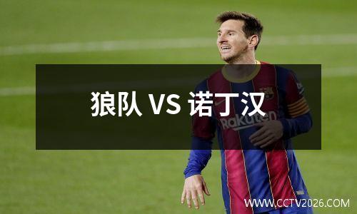 狼队 VS 诺丁汉