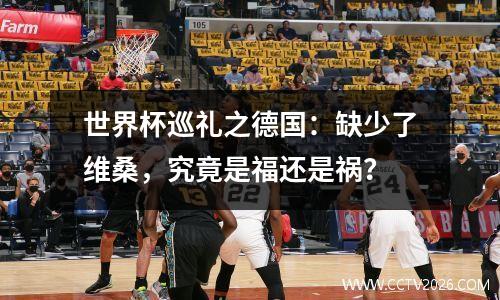 世界杯巡礼之德国：缺少了维桑，究竟是福还是祸？