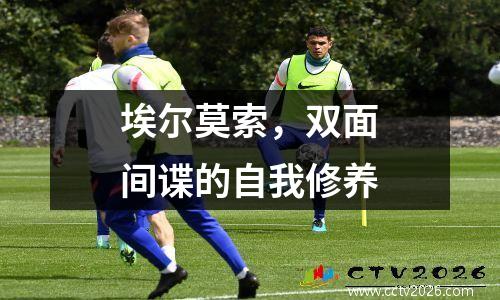 埃尔莫索，双面间谍的自我修养