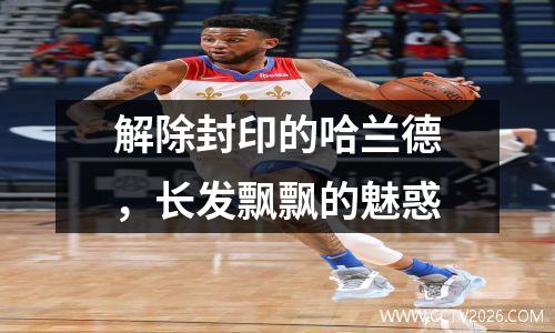 解除封印的哈兰德，长发飘飘的魅惑