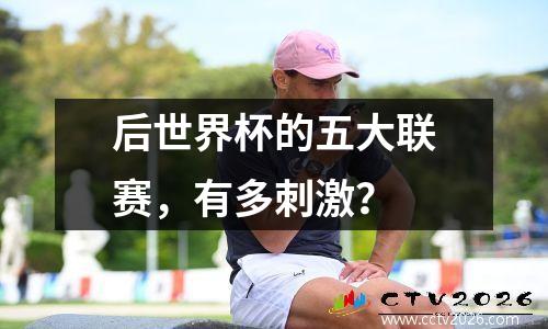 后世界杯的五大联赛，有多刺激？
